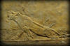 Alabaster bas-relief depicting a dying lioness. The lioness has received 3 arrowsl blood can be seen gushing from the ensuing wounds. One of the arrows hit her at the lower back; this may explain her hind legs' weakness! She is roaring in agony, fighting her death. From Room C of the North Palace, Nineveh (modern-day Kouyunjik, Mosul Governorate), Mesopotamia, Iraq. Circa 645-535 BCE. The British Museum, London. Photo©Osama S.M. Amin. 