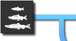 The first scene is the aquarium, where the player can choose
    and modify their fish.