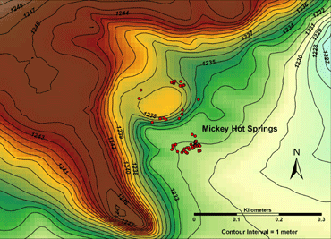 mickey contour map