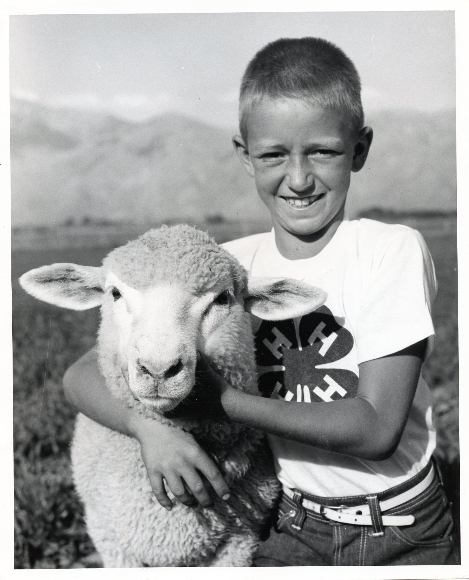 Preview image for a boy and his sheep