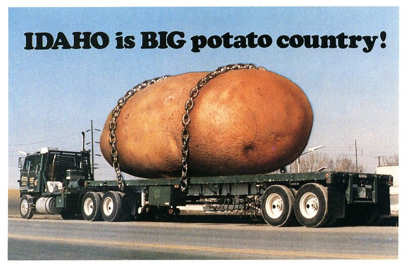 Oversized potato postcard [1]