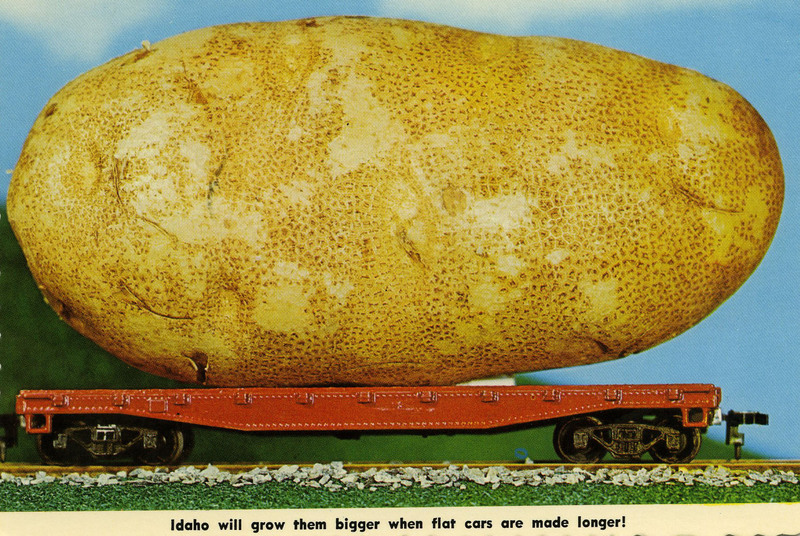 humorous postcard of an oversized potato