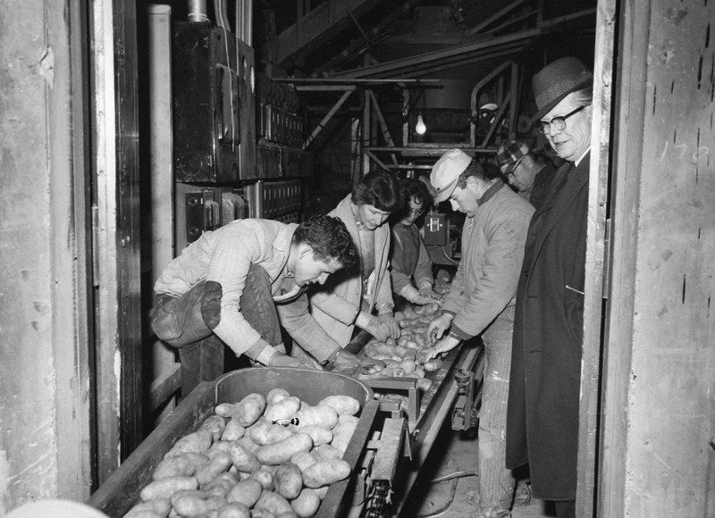 Photo of a group of people inspecting potatos while a man [l]ooks on, smiling