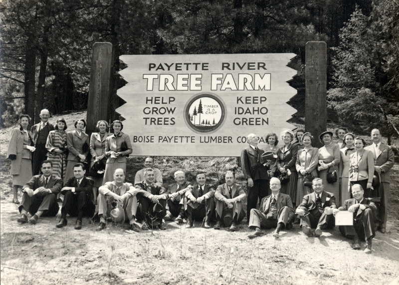 Payette River Tree Farm