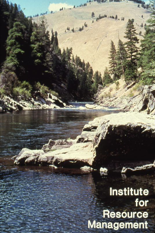 IRM brochure cover
