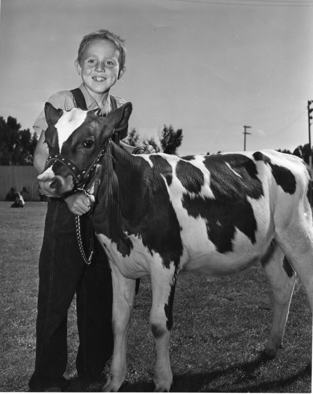 young boy with calf