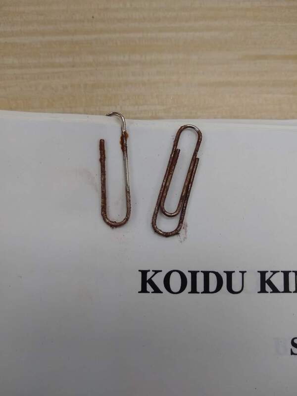 Rusty paperclip [1]