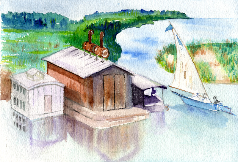 Docks and Wetlands
