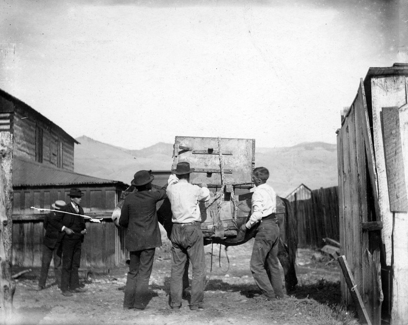 packing on a mule for the mines in Salmon, Idaho