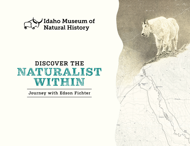 Discover the Naturalist Within: Journey with Edson Fichter
