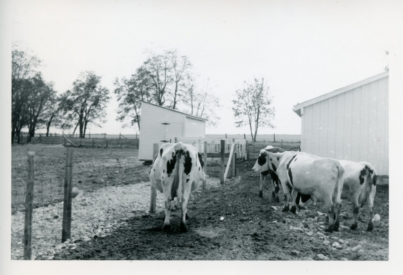 Pasture and Dairy Barn