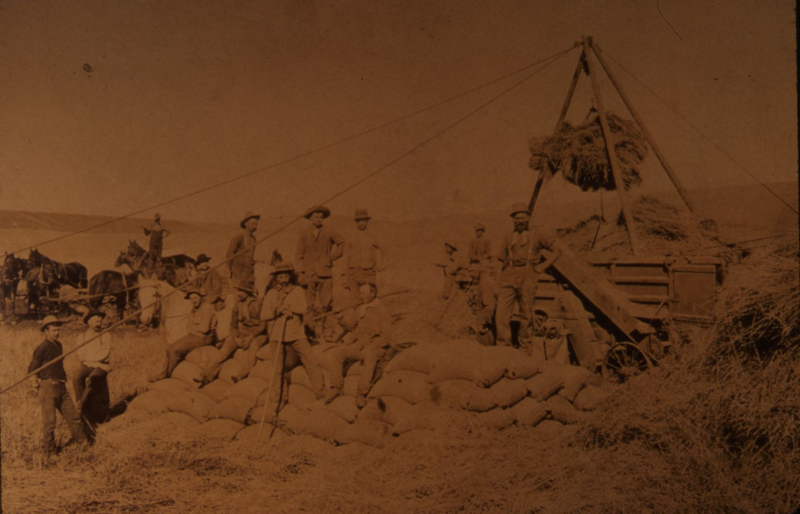 men sitting and standing in front of "Grandpa Wright's" threshing machine