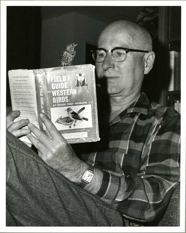 Malcolm Renfrew with a Pine Siskin finch (bird)