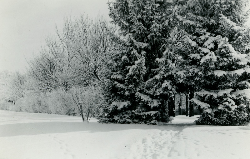Winter scene, University of Idaho campus.