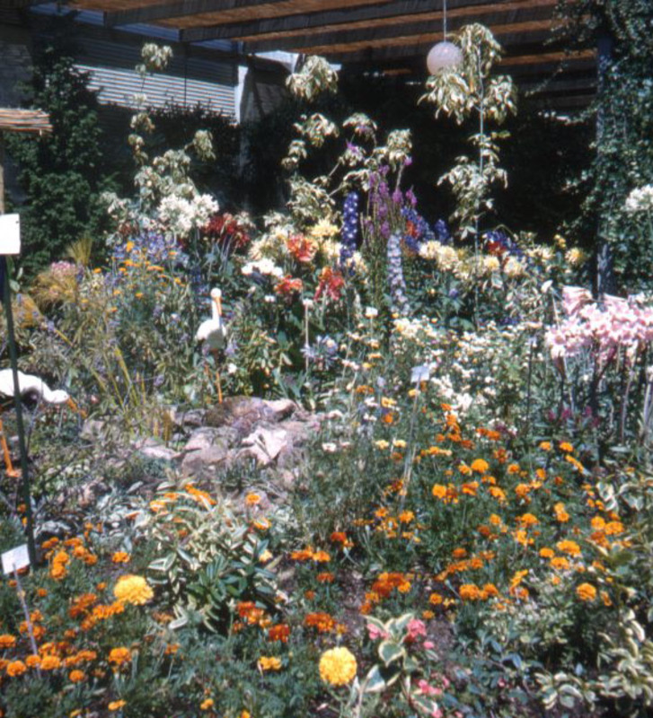 photograph of botanical garden