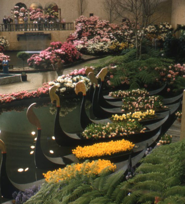 photograph of botanical garden