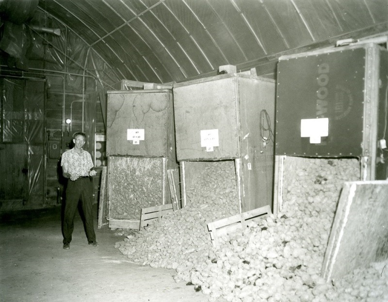 scientist Walter Sparks at Aberdeen Branch Experiment Station