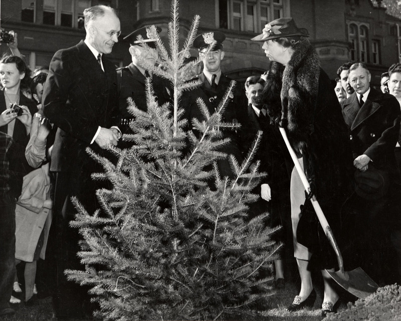 Eleanor Roosevelt and Dwight Smithson Jeffers planting tree in the Presidential Grove, Administration Building law