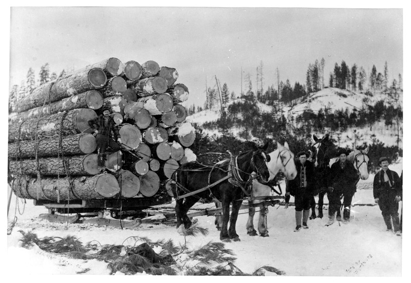 sleigh load of logs drawn by horses