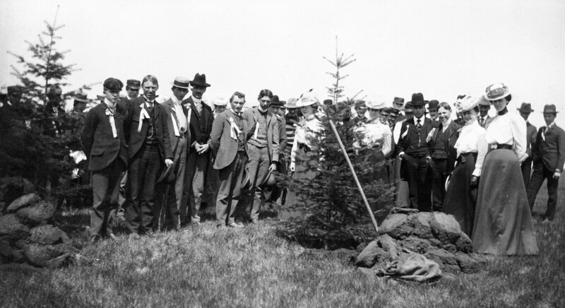Class of 1901 planting a tree on Arbor Day