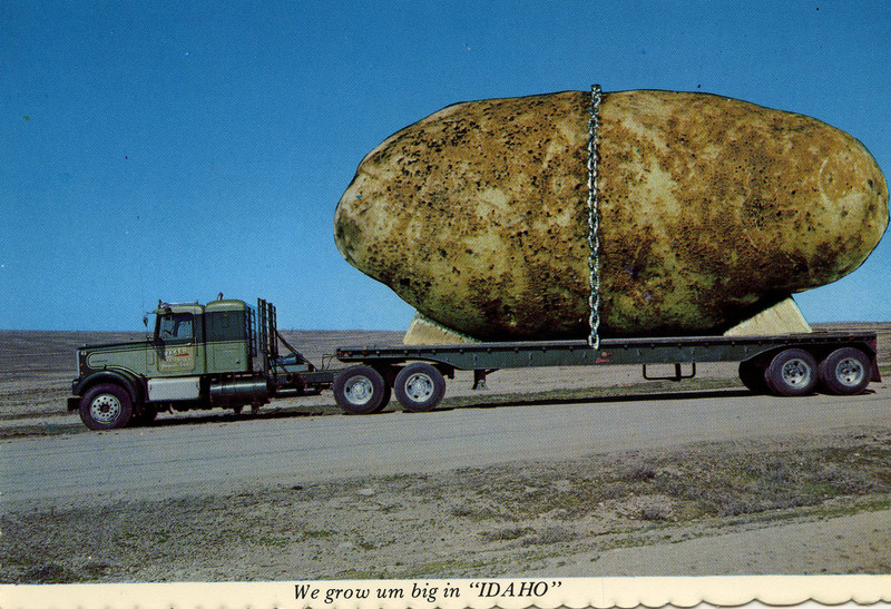 humorous postcard of oversized potato