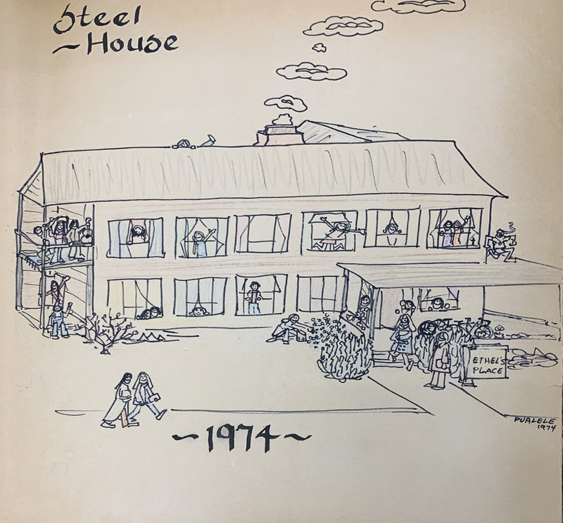 Sketch of Steel House